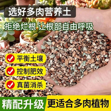 �����w�������������àI�B�����Nֲ�������ʯ����̿��������