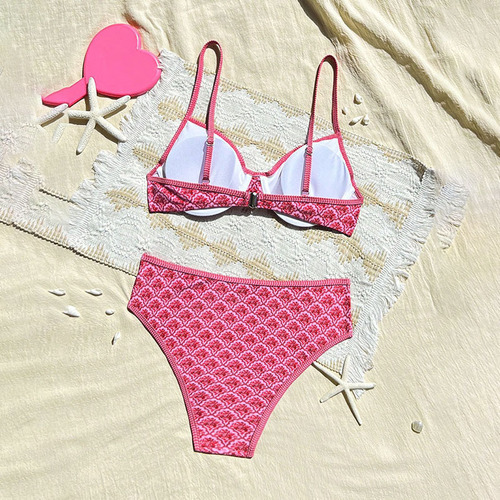 2025 New Amazon European and American printed sexy swimsuit female high-end hot spring beach bikini foreign trade swimwear 