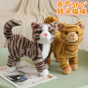 �羳�ɐ۷���؈��ë�q��������P��؈��ż�[���^���D�Ӻ�؈����؈