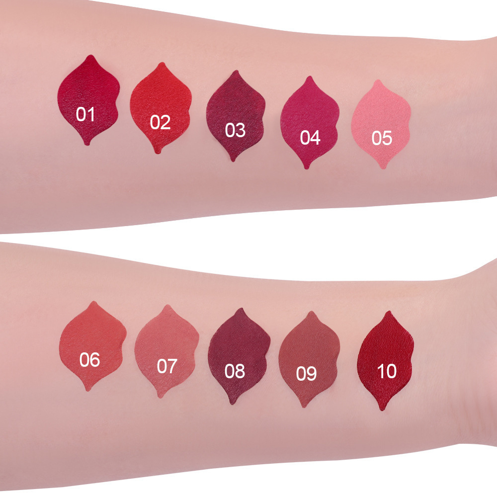 CmaaDu 10 Colors Matte Velvet Finish Long-lasting Moisturizing Lipstick Wholesale Cross-border Model_voghion.com