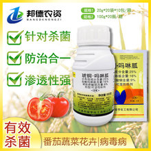 �G����չ25%���~�����ҷ������ƿ����������ԏ�ֲ���rș������