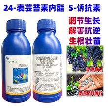 �⻪��0.25%24-��̦ܿ����֬S-�տ�������ˮ���������ڼ�ϸ������