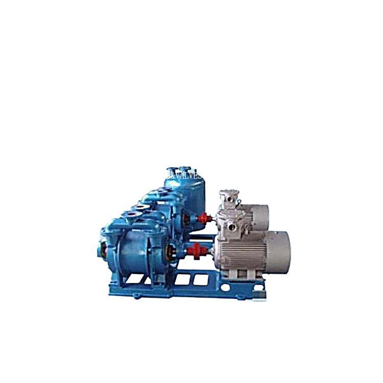 供应：SKA2060直联水环泵 SKA水环双级双相钢2205真空泵价格