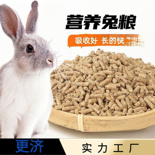 �üZ���l80��I�B20����b������Bֳ���ó���С��ĸ��205������