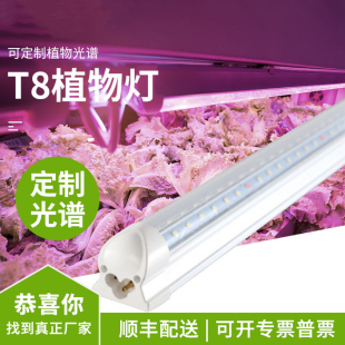 Led Full-Spectrum Plant Growth Lamp Indoor Flower Stand Double Row Red and Blue Light Succulent Green Plant Tissue Culture Planting Fill Light