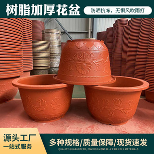 �S��ֱ����ڏ����Ϙ�֬�Ӻ����F���辰�ɻ������̨ͥԺ�N����