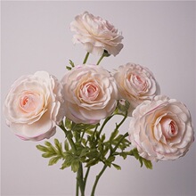 ��Ʒ���ָб�ʪ¶����ëݹ��ĵ���������Ҳ�����װ��Ʒ�Ƶ껨��