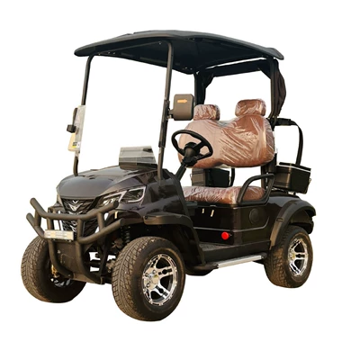 Two-Seat Electric Golf Cart, Elektrikli qolf avtomobilləri