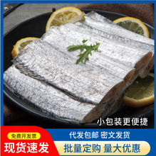 带鱼段批发新鲜冷冻海鲜刀鱼中段鲜活特大海鱼整箱鱼段大段优选