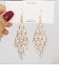 Advanced long earrings, 2021 collection, high-quality style, city style, internet celebrity, wholesale