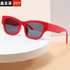 Red sunglasses suitable for men and women, suitable for import, European style, wholesale