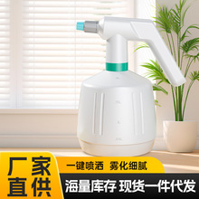 批发2L喷水壶喷雾器清洁工具消毒园艺洒水壶浇花电动喷壶电动加压