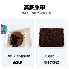 Cat grass succulent coconut bran nutrient soil nutrient block compressed pure coconut bran soil medium vegetable planting pure imported raw materials
