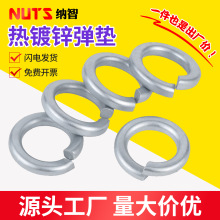 8.8\|\ɉ|Ȧԉ|ƬM8/10/12/14/16/20