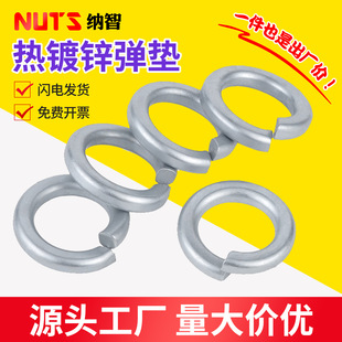 8.8\|\ɉ|Ȧԉ|ƬM8/10/12/14/16/20