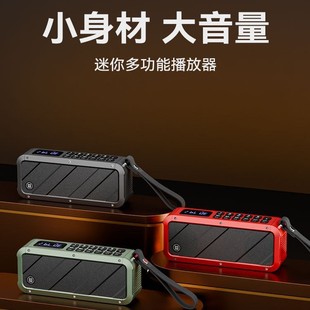 Langyun D83 Wireless Bluetooth Audio Box Super Bass Radio Recording Loop Play Card Outdoor Large Volume