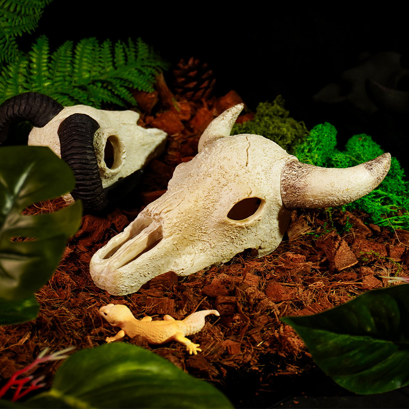 Lagarto, serpiente, cráneo, mascota trepadora, casa de refugio, resina, reptil, paisajismo animal, calavera, pecera, acuario, paisajismo al por mayor