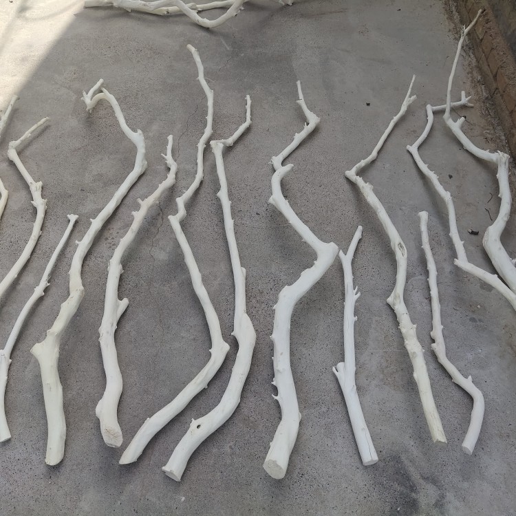 。Arquivos de flores de ramas secas de madera tronco artístico ramas secas maderas secas de madera secas descorpeadas modelado percha de pared paquete de tronco