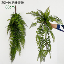 ����ڒ��˹ާ�~ֲ������������ާ����ٗl�Gֲ���@�b�