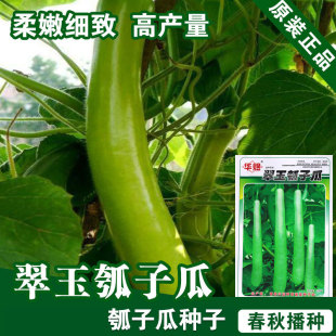 �L��ӹϷN���ϷN�������߲˷N�����l�˷N���ѷN�ӹ�˾�ļ���