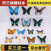 �����Ӻ����˱��[����������x�˱�չ��W���������նYƷ͸��̫��