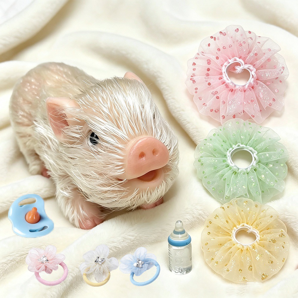 Silicone Toy