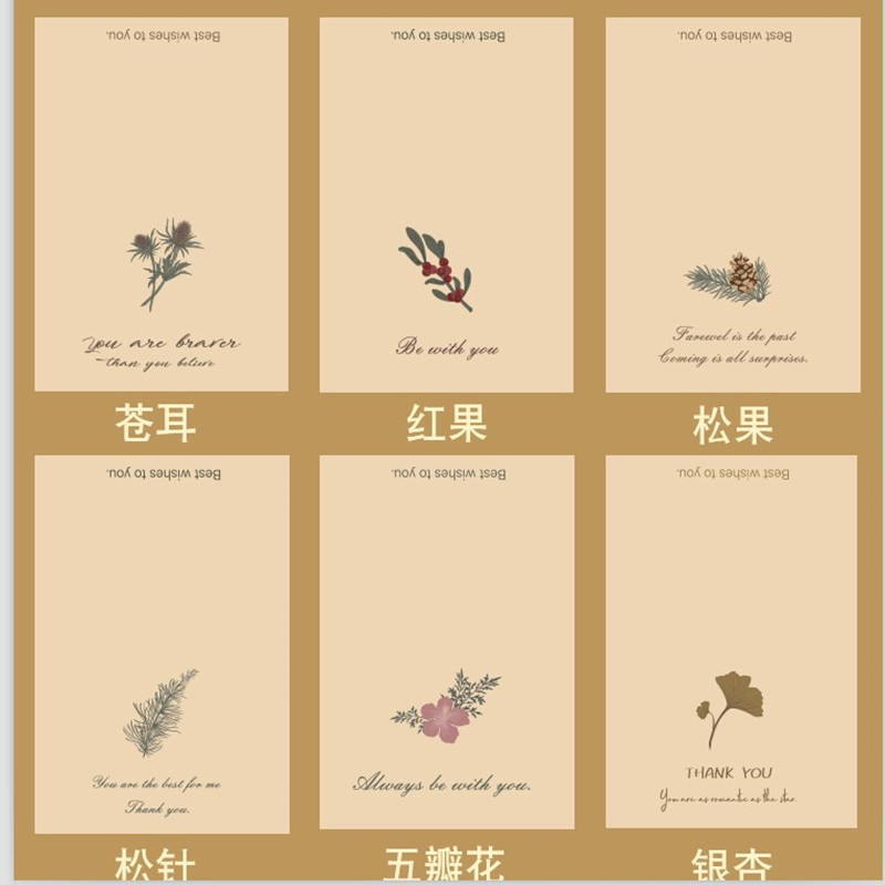 Tarjeta de felicitación de planta Vintage/enviar sobre + pegatina de sellado