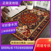 跨境水洗底羊绒地毯复古民族风客厅茶几防滑地毯家用耐脏床边地毯
