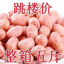 降价花生米新鲜米5斤大粒装生花生10白沙大榨油花生米现剥新粉皮