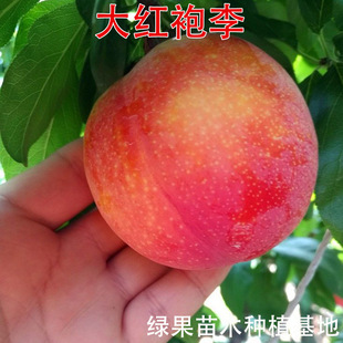 ��t�������� �޽����� ��t�����Ә��� �ϱ����Nֲ����Y������