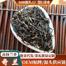 批发新茶武夷山头采一斤散装日常待客自饮中火高山兰花香奇兰岩茶