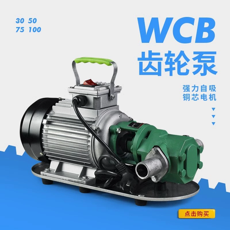 220V380V вольт WCB зубчатый масляный насос гидравлическое масло масло из нержавеющей стали густое масло дизельный бензиновый самовсасывающий зубчатый насос