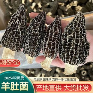 ��Ǿ���؛���ԭ�a���^����Ǿ��ɾ�ɢ�b���l����ʳ����Ǿ���؛