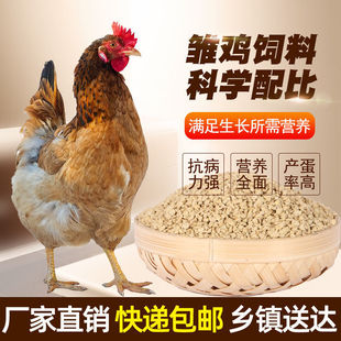 �u���ι�uС�u�_��������ĸ�u�a���w��ȫ�r����Bֳ�����l40��