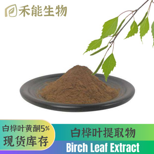 ט~ȡ ~Sͪ5% Birch leaf Extract טˮܼ