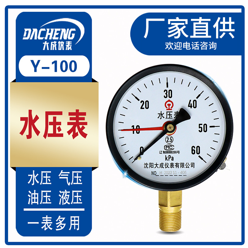 水压表 100  厂家生产 大成仪表  种类多样