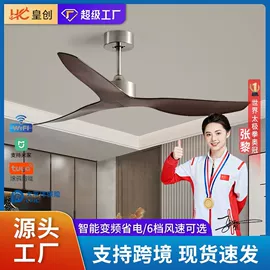 风扇灯;吸顶灯;智能家居