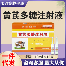 黄芪多糖注射液兽药兽用调节免疫益气固体10ml*10支全畜可用批发