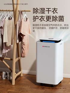 High-Power Dehumidifier for Basement Air, Moisture Removal, Clothes Drying, Household Use, Free Shipping