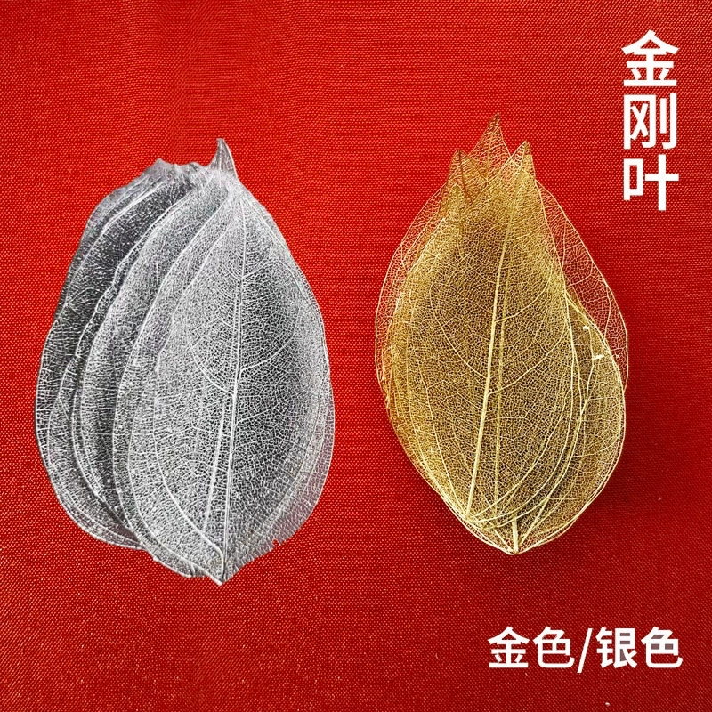 Золотой серебряный цвет белый бриллиант Жилка DIY Вечный Цветок чистый лист магнолии лист сушеный цветок образец растения