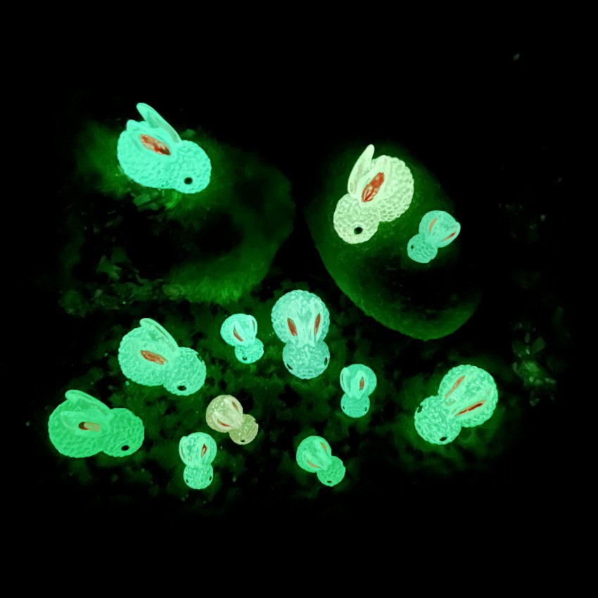 2023_07_01_20_27_IMG_2238_cone