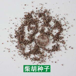 ����N�ӿ����ڲ���в�ș�N�ѷN��ʡ�˹��ļ��Nֲ�ֵ����׵��׷N