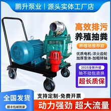吸粪泵新款污水泵抽粪泵排污养殖场猪粪自吸化粪池无堵塞