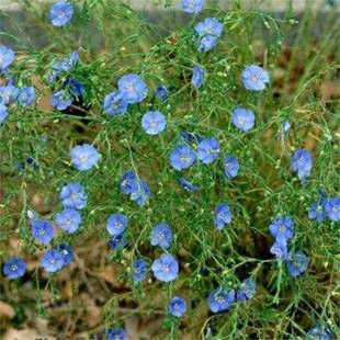 ���羳��؛��ɢ�b�{������N�� ���Ի��ܷN�� �̨ͥԺ���N���{��