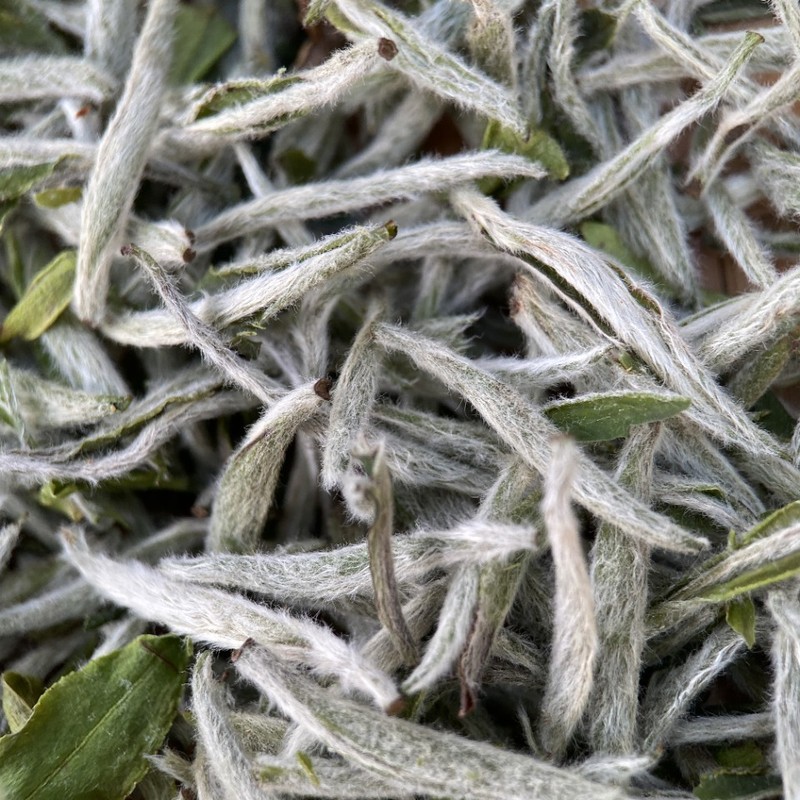 アイスキャンディー甘い日焼け白茶2025年春茶白ミリ銀針福頭採鼎米粒芽銀針ばら積源工場|undefined
