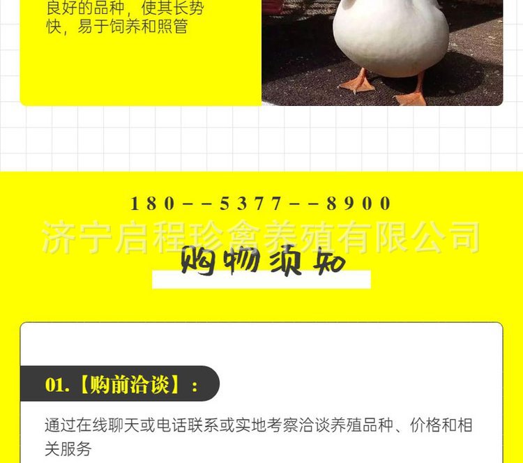 u=118650781,314819220&