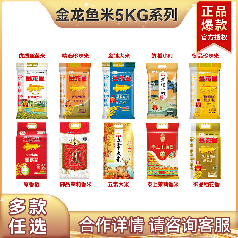 金龍魚米5kg東北米うるち米インディカ米真珠家庭用大包装10斤入米|undefined