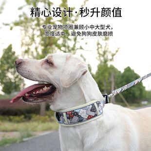 �����Ȧ�����K���չ�ȦС��Ȯ��Ȧ�д���Ȯ�iȦ��ë�������ಱ��