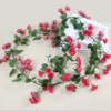 Rose Red