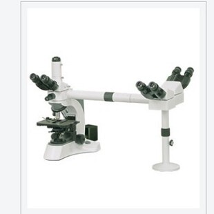���¹�W N-306�����^���@΢�R�o���h��������������^��D������